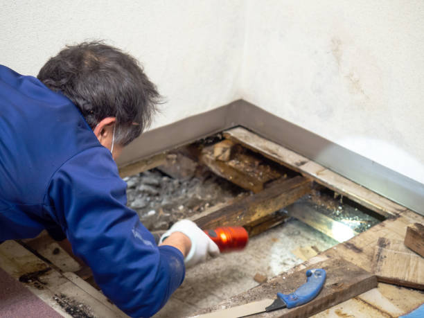 Camp Barrett, VA Mold Remediation Company