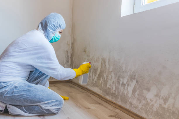 Best HVAC Mold Remediation in Camp Barrett, VA