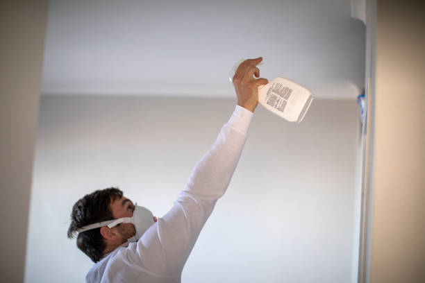Best Mold Remediation for Specific Building Types in Camp Barrett, VA