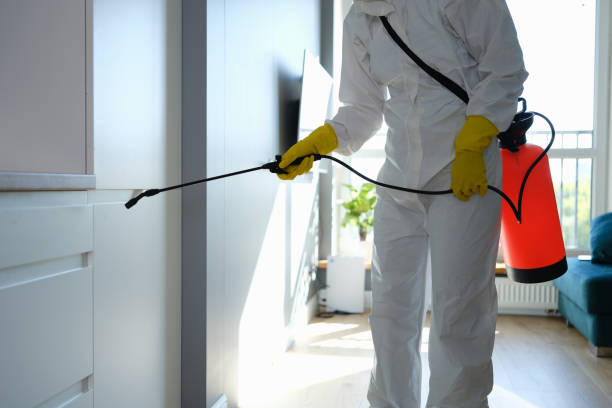  Camp Barrett, VA Mold Removal Pros