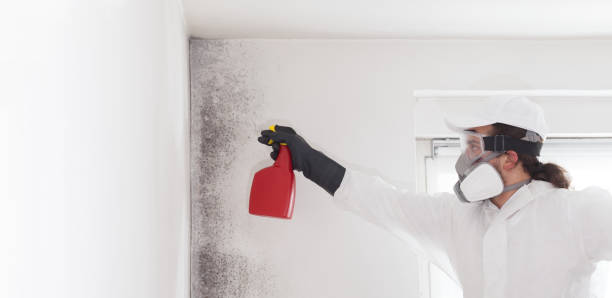 Best Industrial Mold Remediation in Camp Barrett, VA