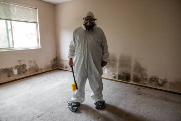 Best Preventive Mold Services in Camp Barrett, VA